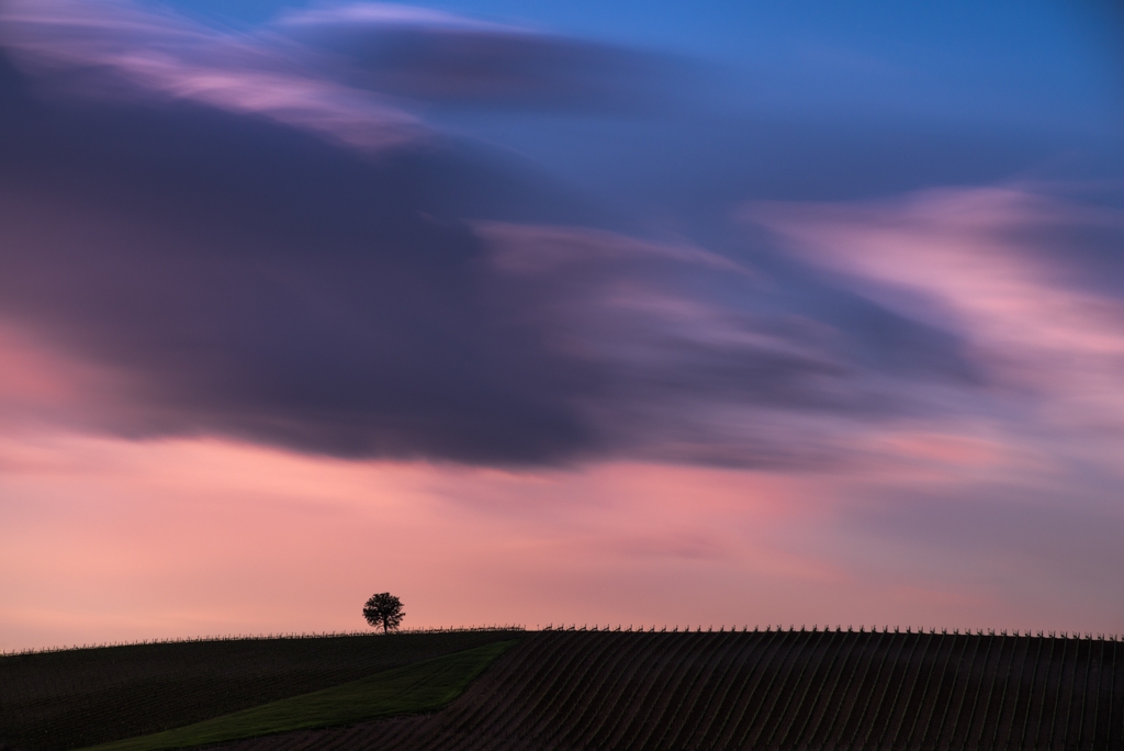 Late Day Clouds