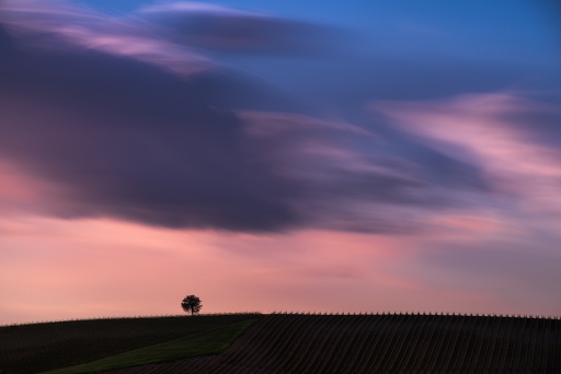 Late Day Clouds