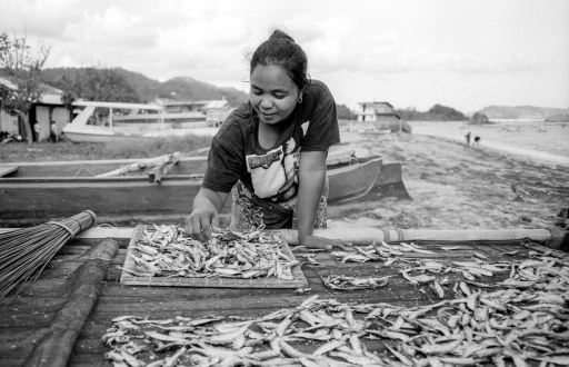 Drying fish (Kuta Lombok)