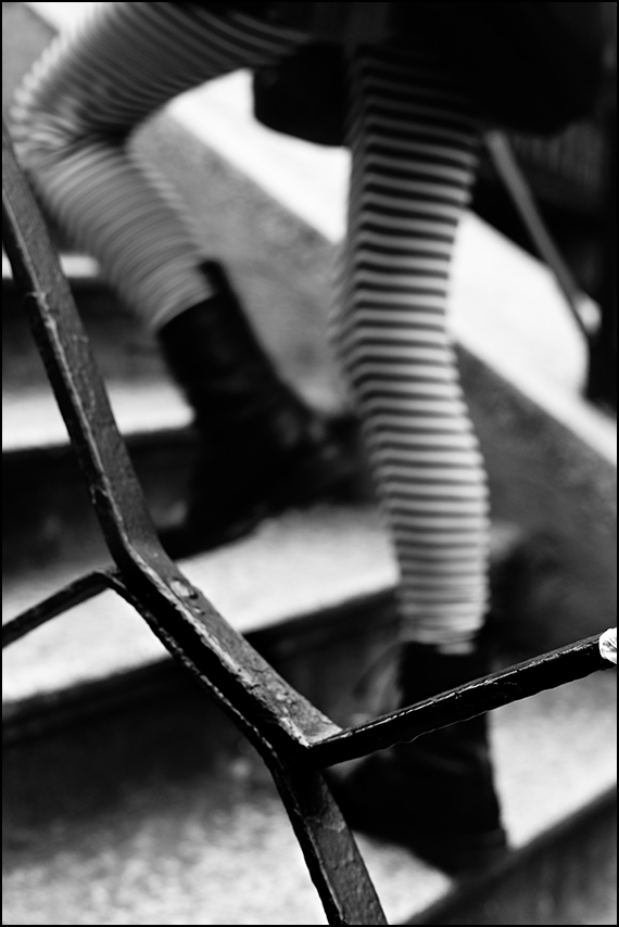 steps&stripes