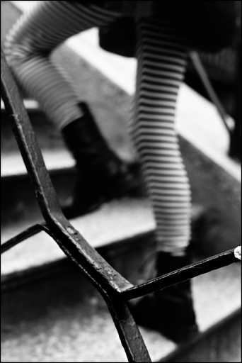 steps&stripes