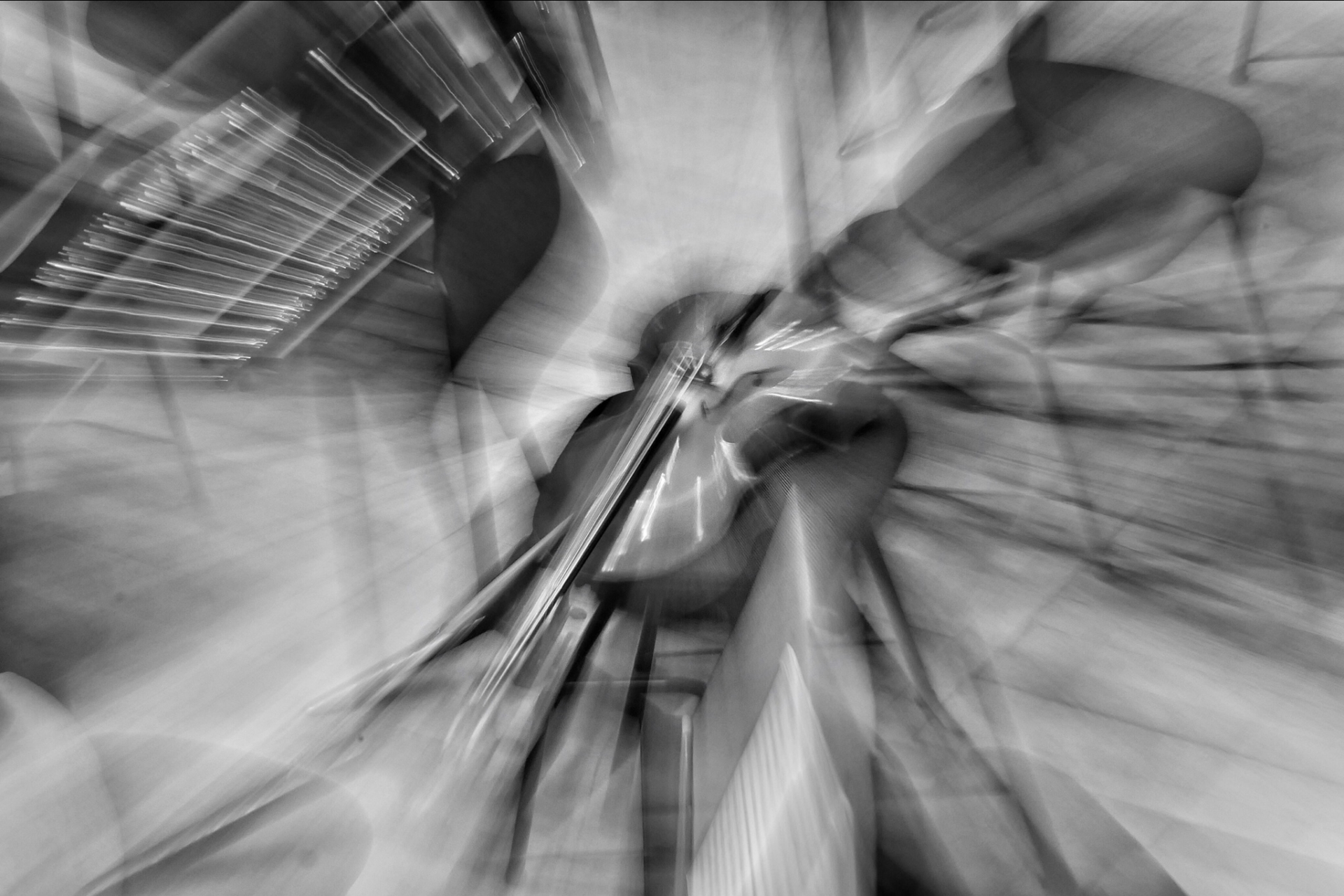Viola.