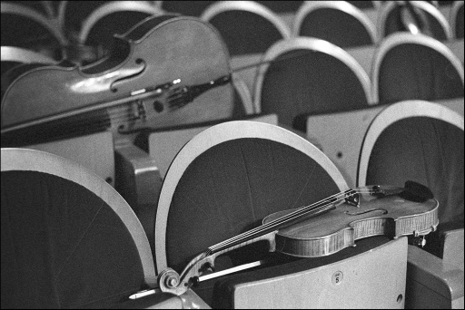 13VioliLux50CEP