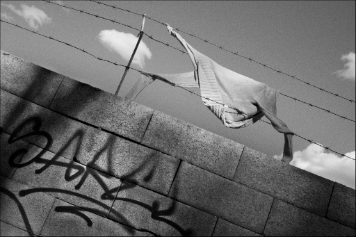 MuroFiloSpinato_M005759TX800-CEP.