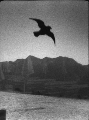 19058 close 02
