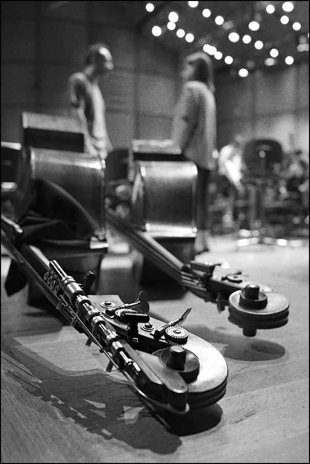 BassiVerdi_DSC3964-TX800.
