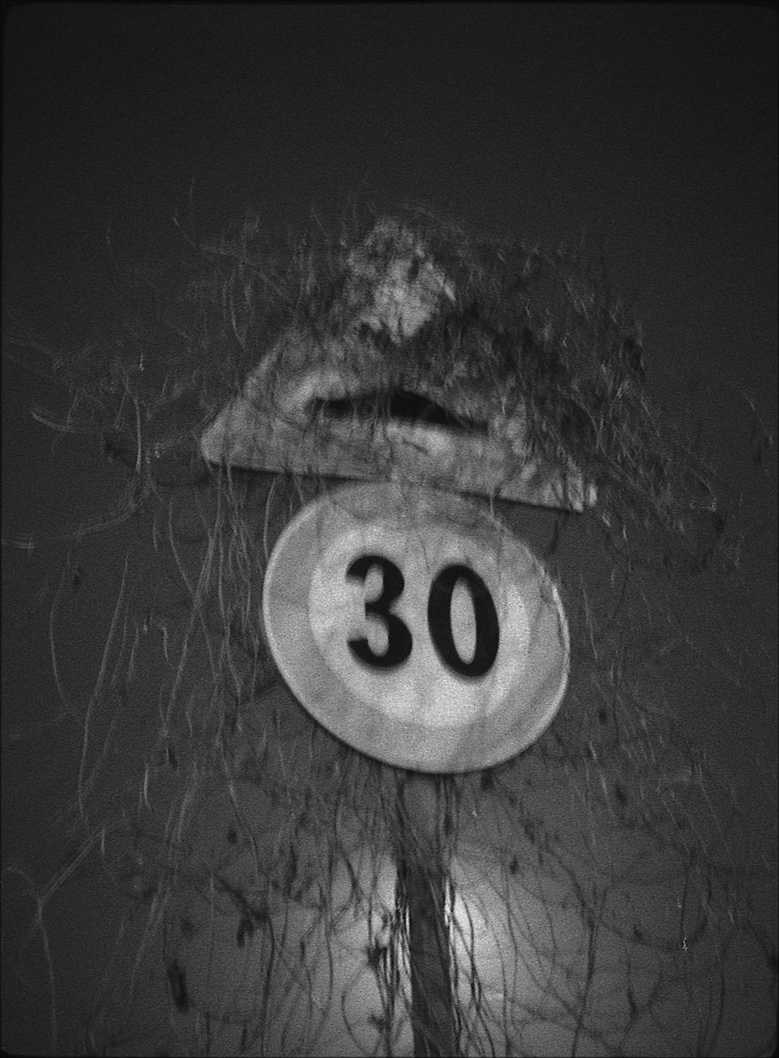 20013 close 01