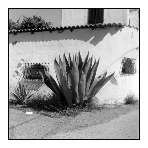 cr_Rollei1