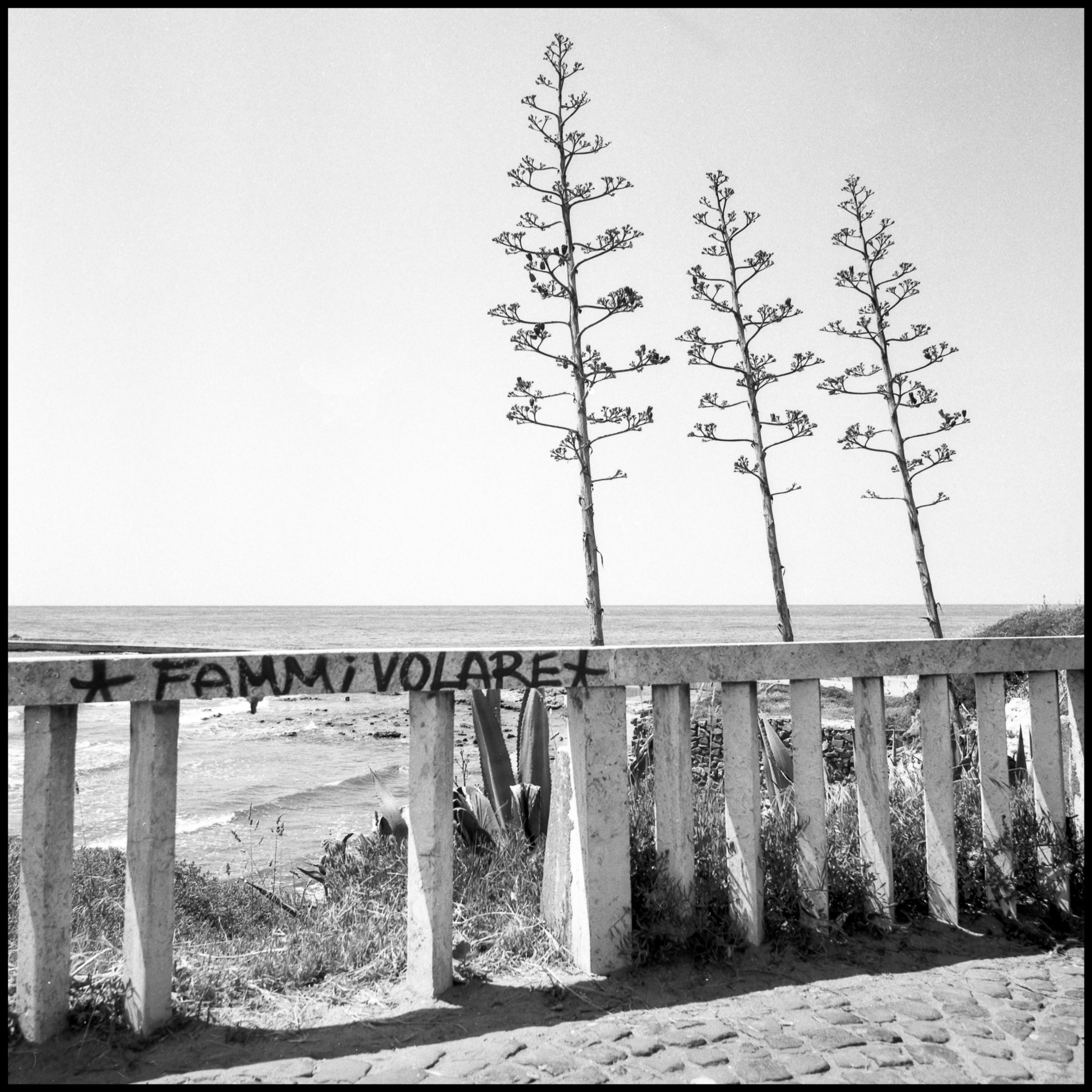 square (10)
