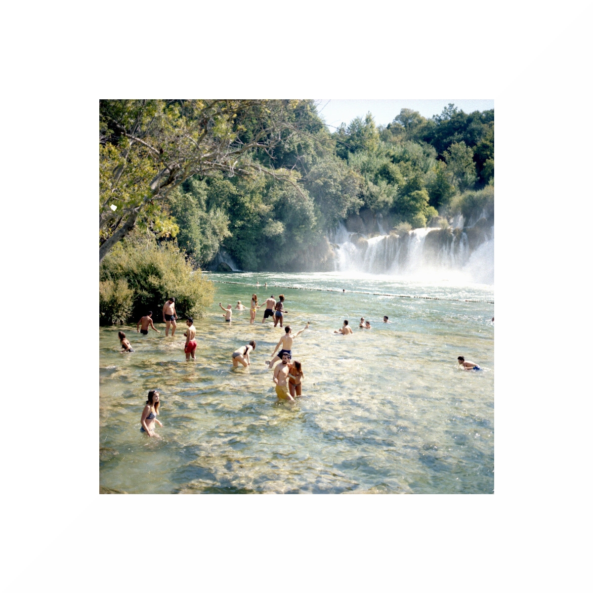 Vacationer's Anatomy	#4