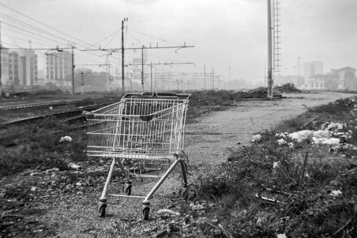 Lonely Cart (Milano, 2017)