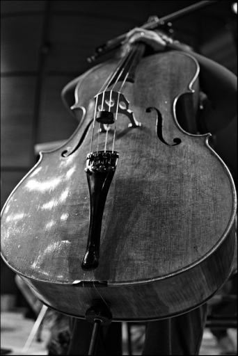 CelloFemmina