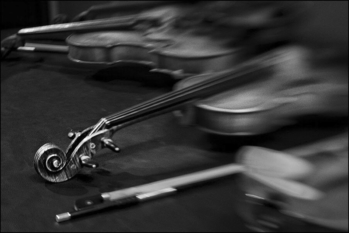 ViolBaby