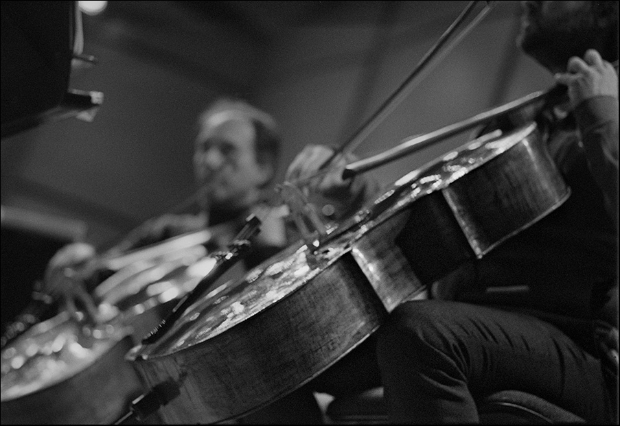 34Violoncelli