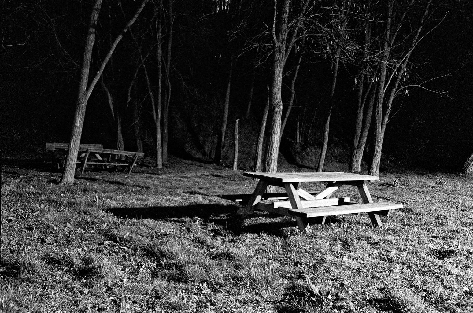 notte2015_2_004 copy.jpg